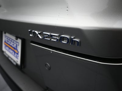 2021 Lexus UX 250h UX 250h
