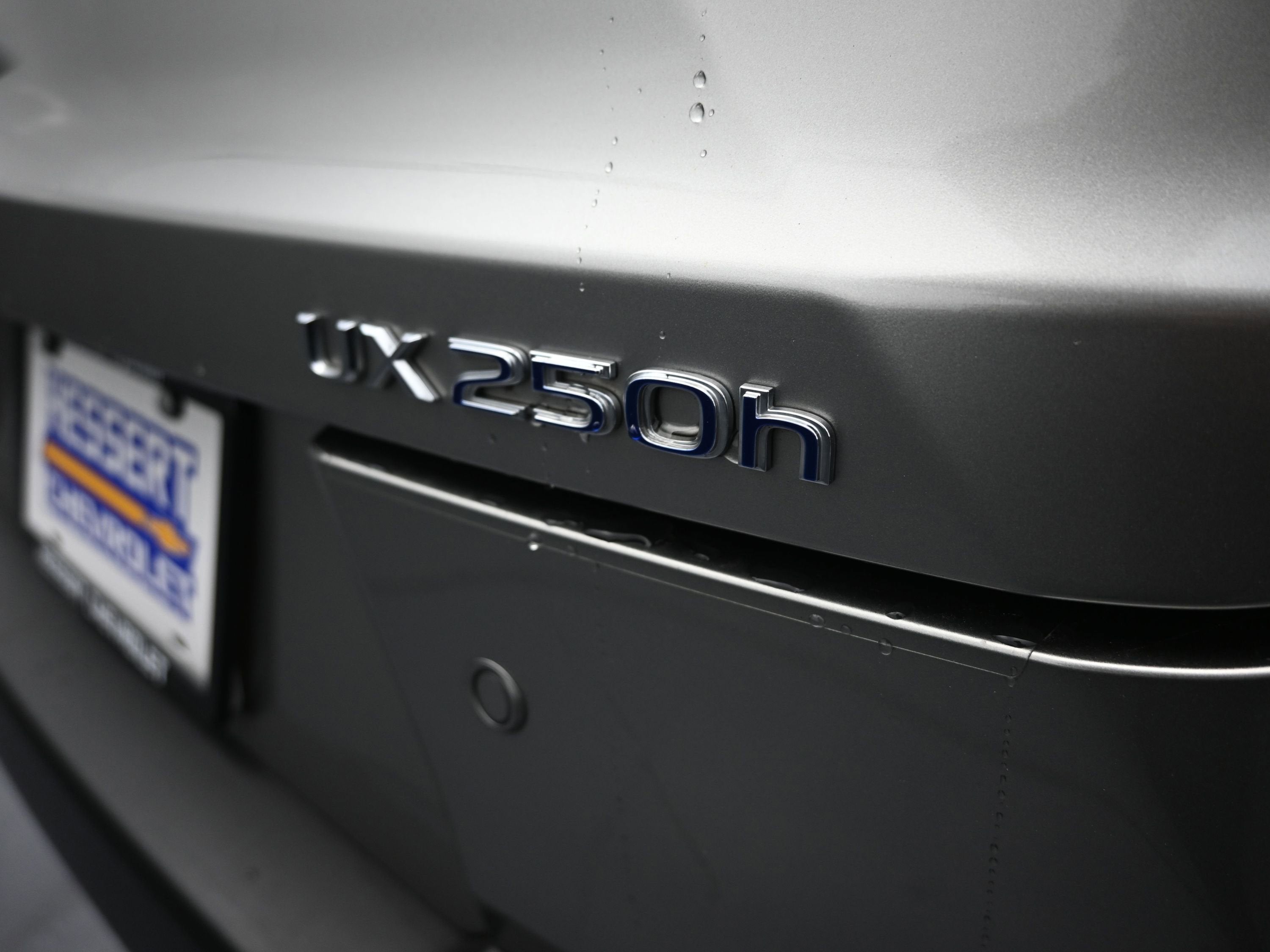 2021 Lexus UX 250h UX 250h