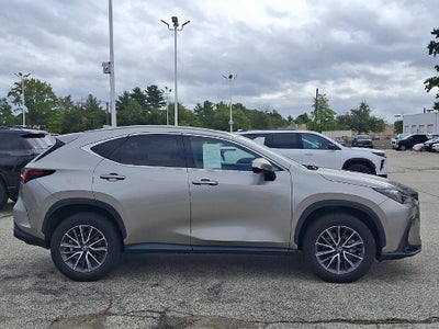 2022 Lexus NX 350h NX 350h